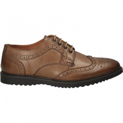 Pantofi barbatesti, stil...