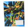 Caiet cu patratele, Turtles